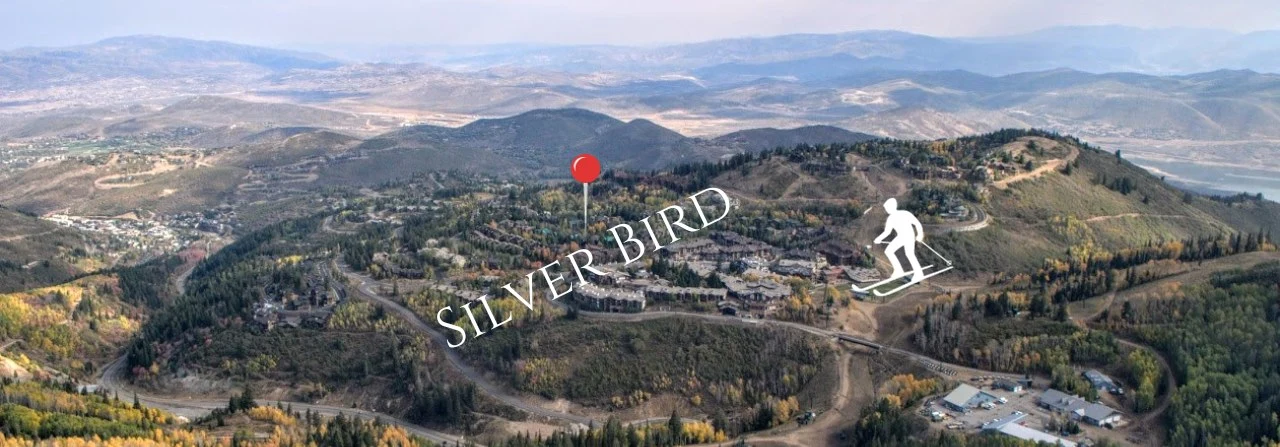 Silver Bird Townhomes Deer Valley Aerial View